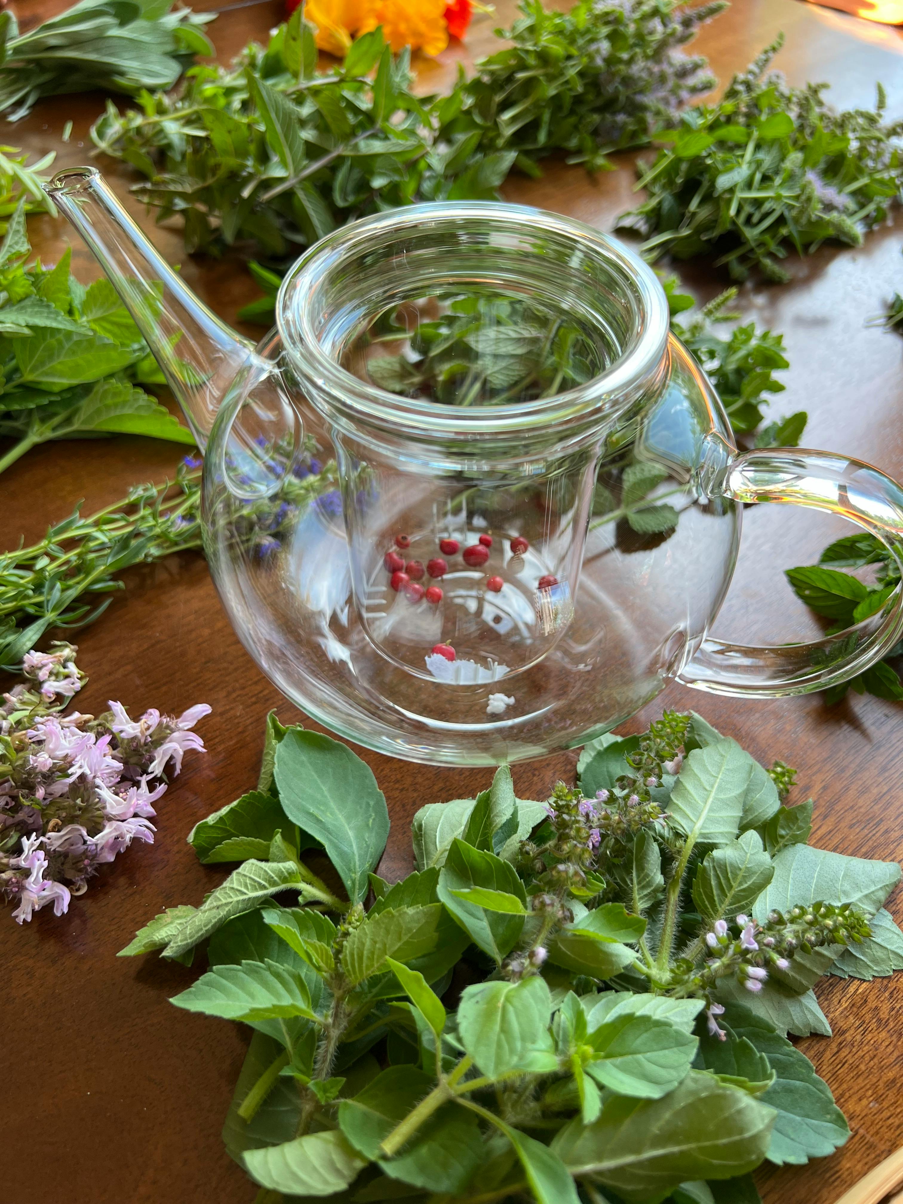 Hierbas medicinales